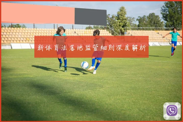 新体育法落地监管细则深度解析