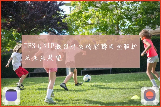 TES与NIP激烈对决精彩瞬间全解析及未来展望